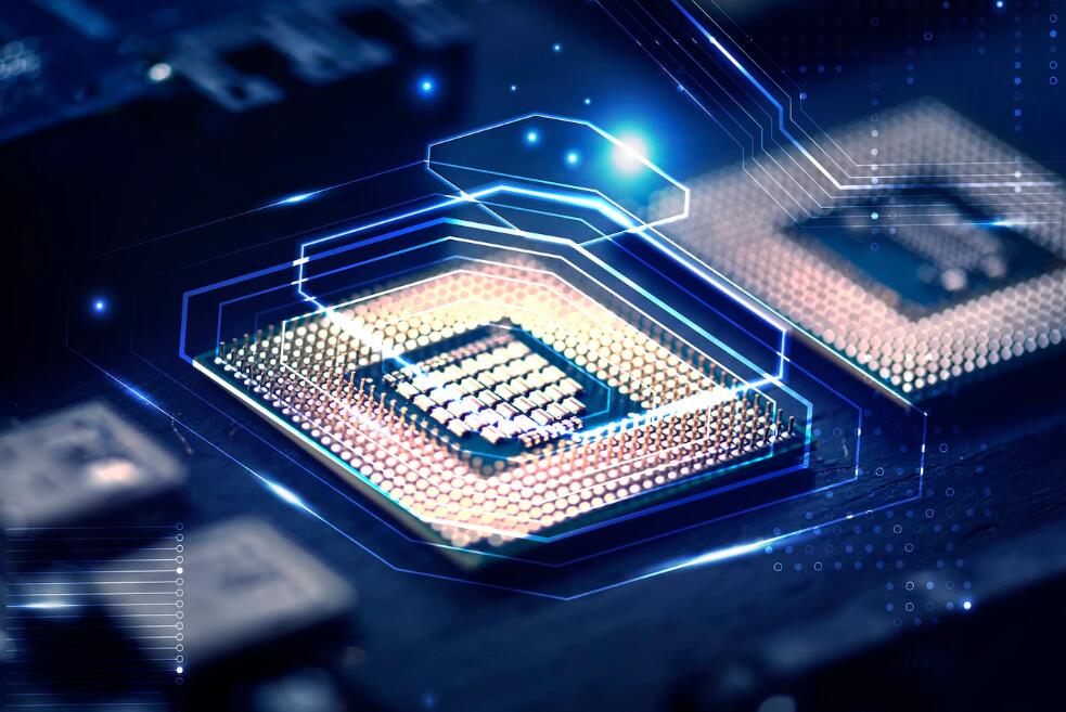 黄鲤鱼代表什么意思 什么鱼被称为软黄金